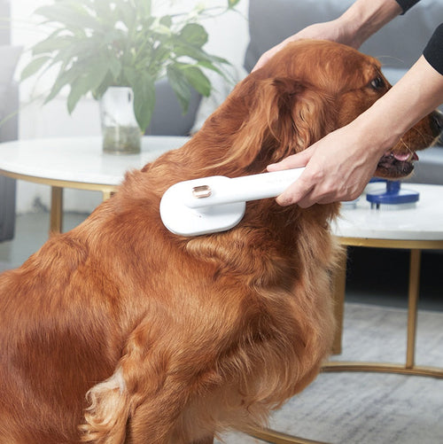 Pet Hair Remover Brush – Cat & Dog Grooming Tool.