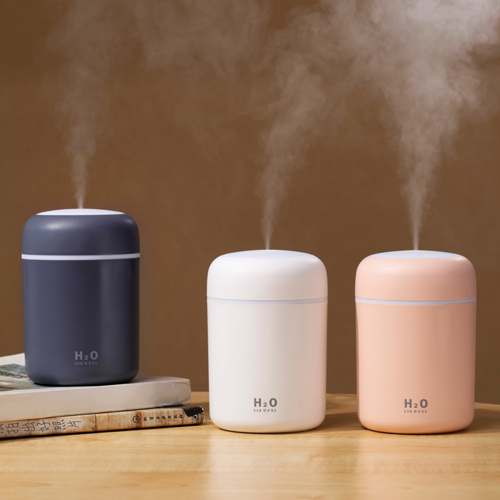 Portable Mini Humidifier & Aroma Diffuser